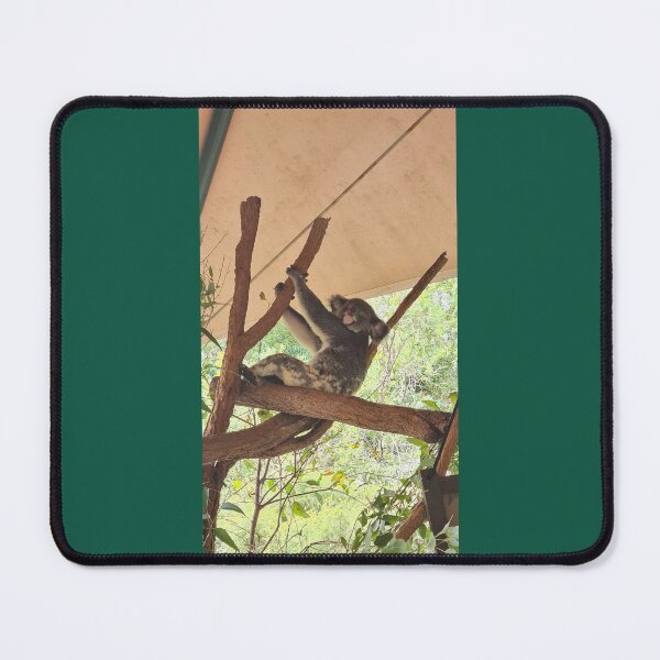 Item preview, koala, australia, break time, cute, animals, australian animals designed and sold by Roslyn1978.