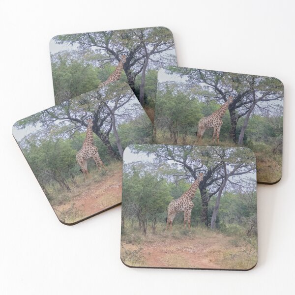 Item preview, Mature Giraffe Among Trees designed and sold by SafariByMarisa.