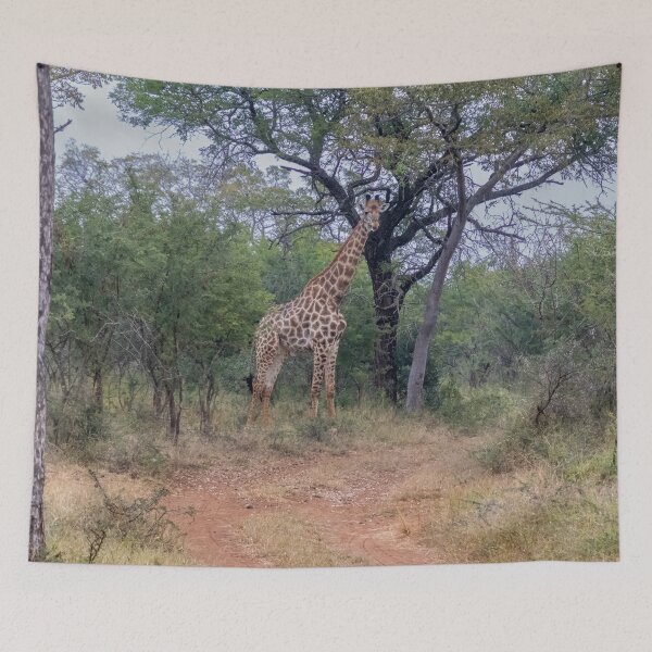 Item preview, Mature Giraffe Among Trees designed and sold by SafariByMarisa.