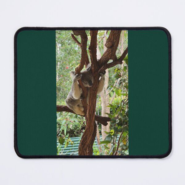 Item preview, koala, australia, break time, cute, animals, australian animals designed and sold by Roslyn1978.