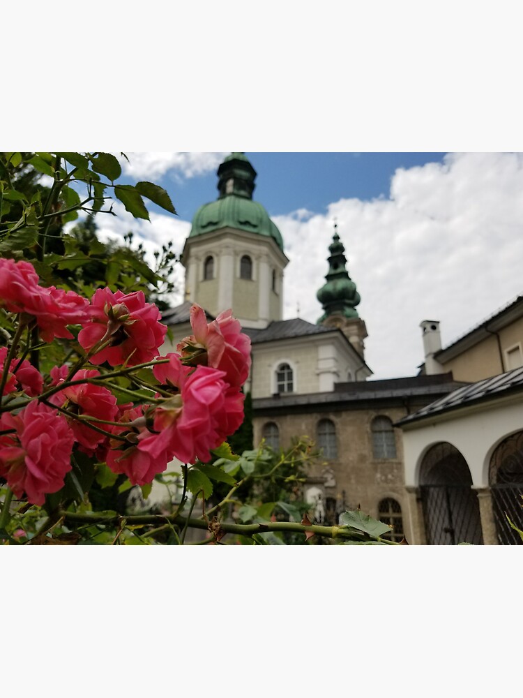 Roses in Front of 12th Century Chapel, Austria by Darlirra