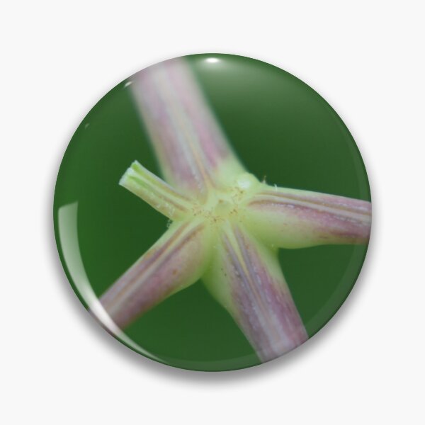 Item preview, Stems  designed and sold by Tonia Delozier's Photography .