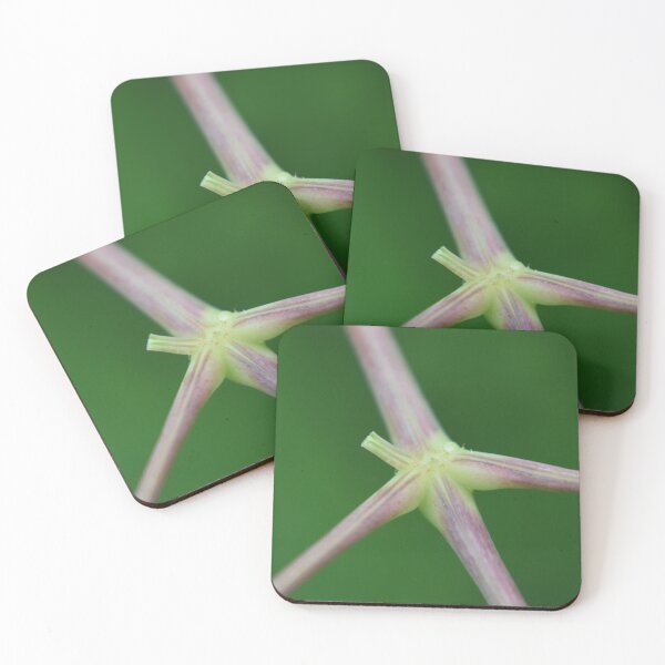Item preview, Stems  designed and sold by Tonia Delozier's Photography .