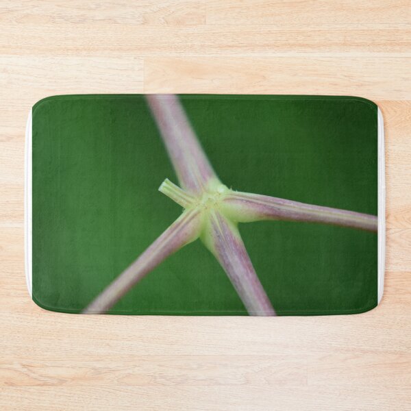 Item preview, Stems  designed and sold by Tonia Delozier's Photography .