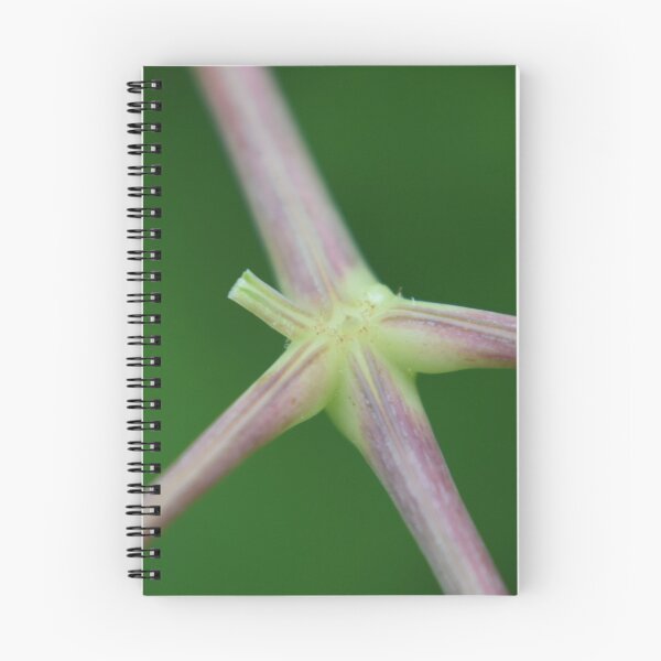 Item preview, Stems  designed and sold by Tonia Delozier's Photography .
