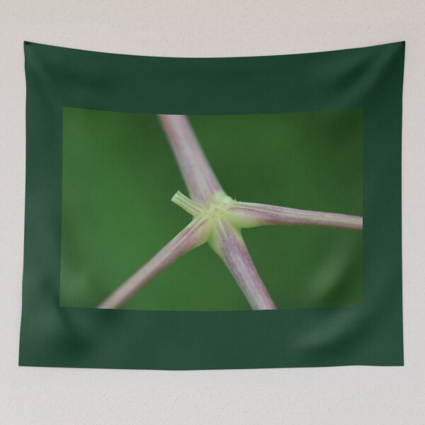Item preview, Stems  designed and sold by Tonia Delozier's Photography .