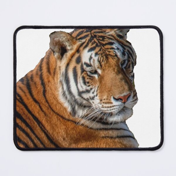 Item preview, TIGER 2 designed and sold by sharriplaza.