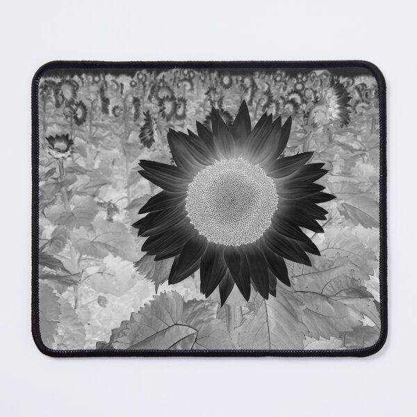 Item preview, Sunflower field- Black and White inverted designed and sold by AndersonThreads.