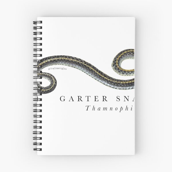 Item preview, Garter Snake designed and sold by TheDrawingZoo.