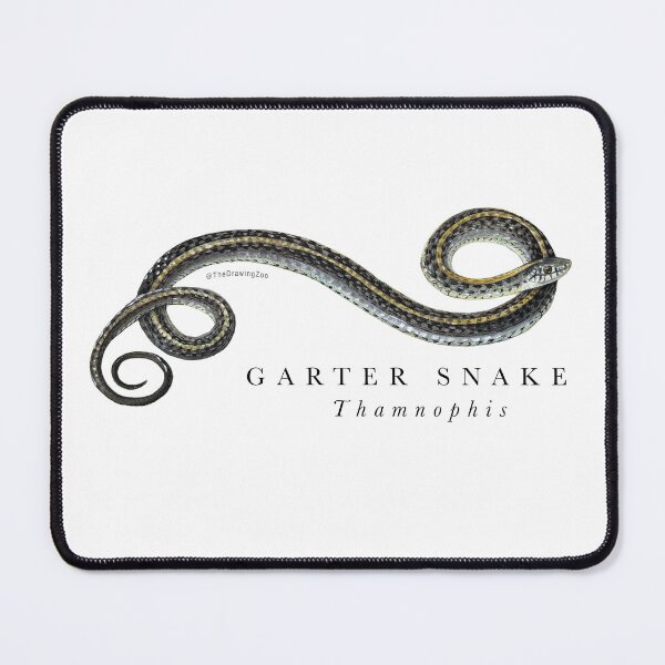 Item preview, Garter Snake designed and sold by TheDrawingZoo.