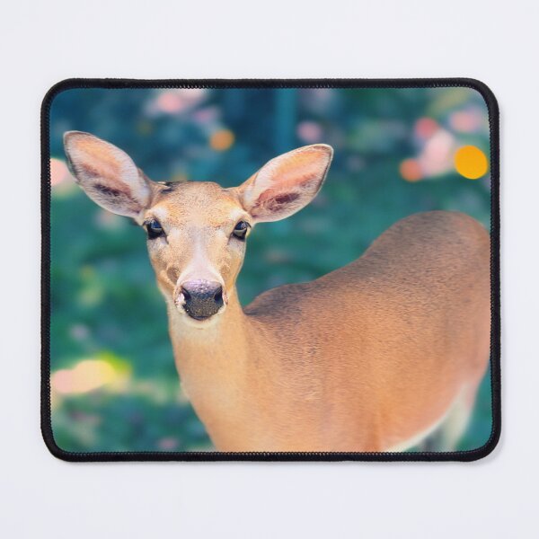 Item preview, Key Deer designed and sold by Noah Browning.
