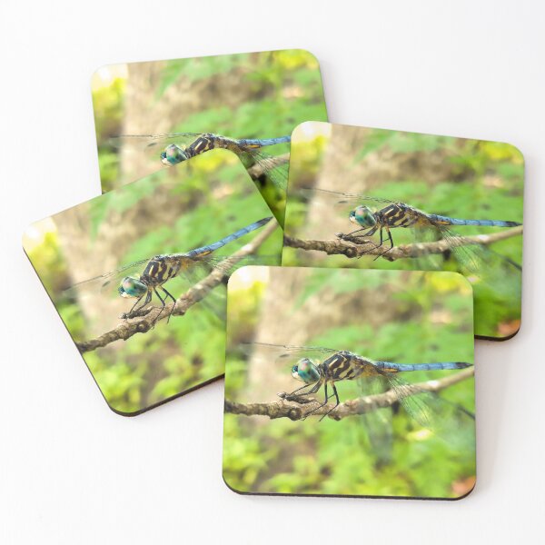 Item preview, Blue Eyed Damselfly Dragonfly designed and sold by NC NatureVisions.