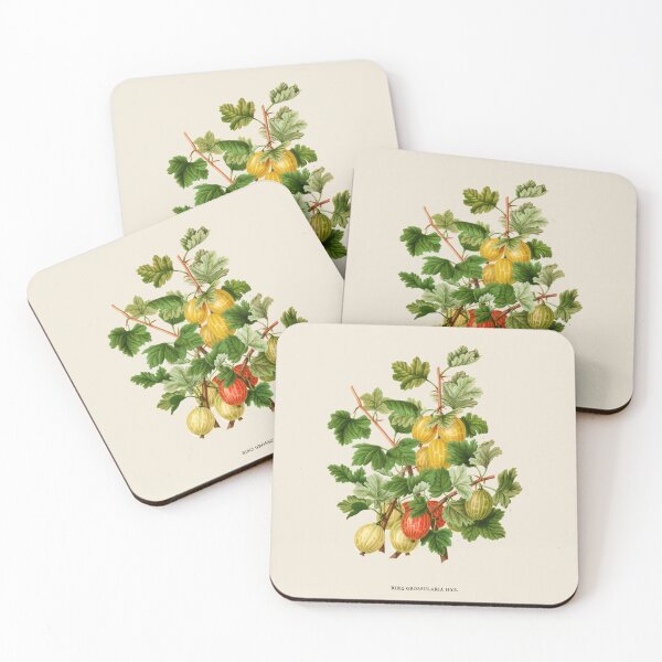 Item preview, Gooseberries Antique Botanical Illustration designed and sold by Antiquated Art.