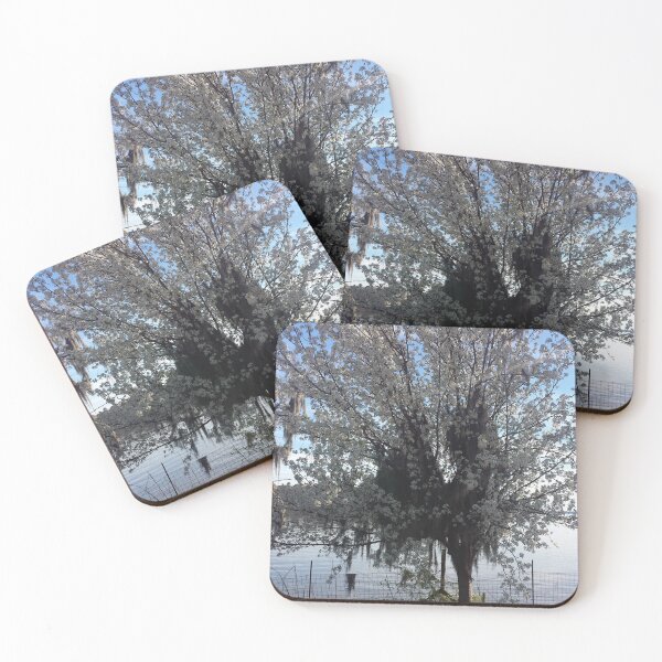 Item preview, TMP Photography • Rayburn Tree designed and sold by TMPSG.