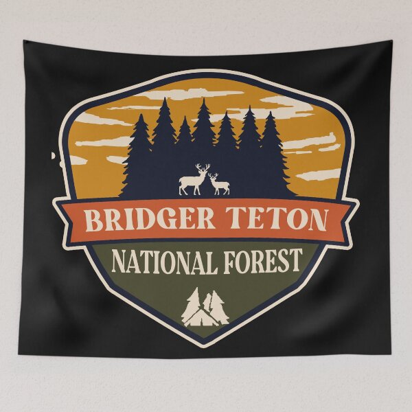 Item preview, Bridger Teton National Forest designed and sold by graphic-map.