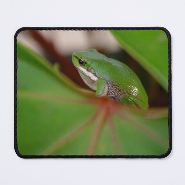 Item preview, Lilly frog designed and sold by Penny Kittel.