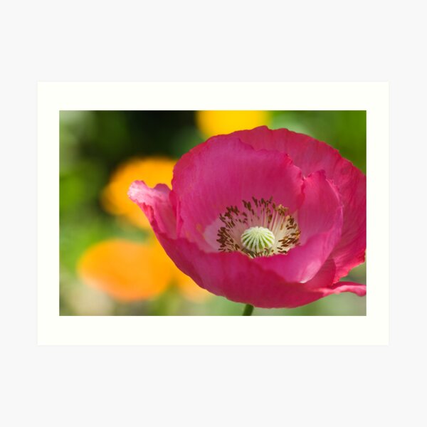 Passionate Art Print
