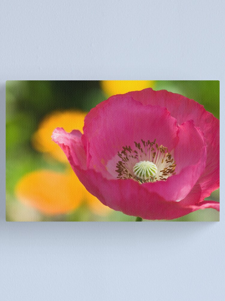Alternate view of Passionate Canvas Print