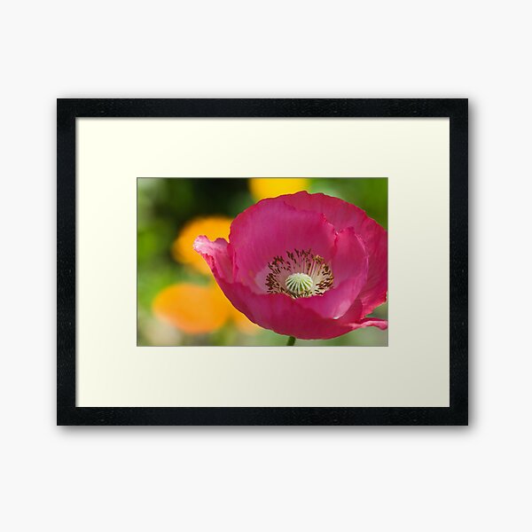 Passionate Framed Art Print