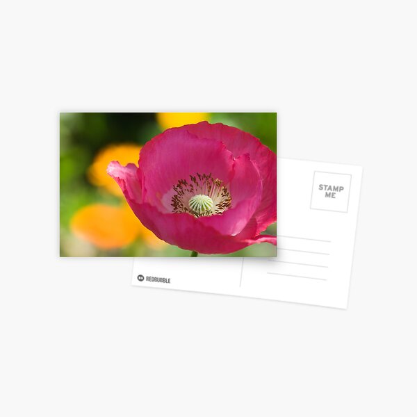 Passionate Postcard