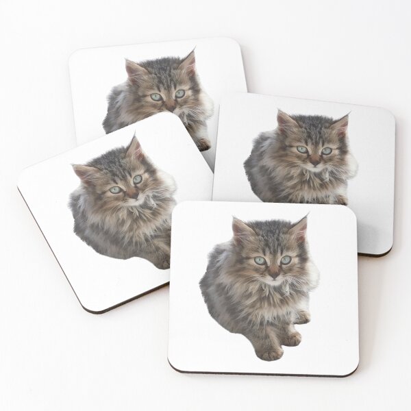Item preview, A Cute Kitten resist me if you can!  designed and sold by nickbrayimages.