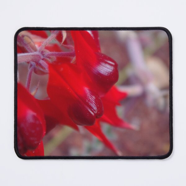 Item preview, Red on Red designed and sold by Penny Kittel.