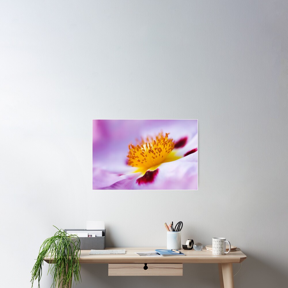 Exotic Poster