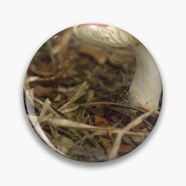 Item preview, Front Yard Fungi  designed and sold by MercerImages.