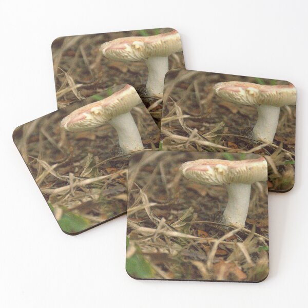 Item preview, Front Yard Fungi  designed and sold by MercerImages.