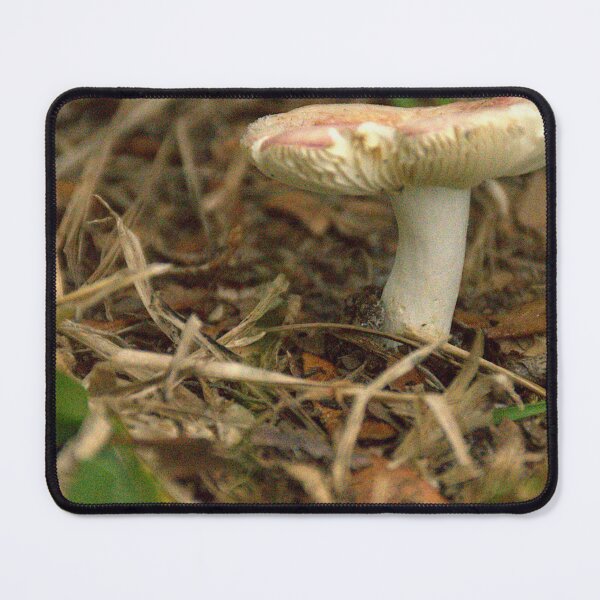 Item preview, Front Yard Fungi  designed and sold by MercerImages.