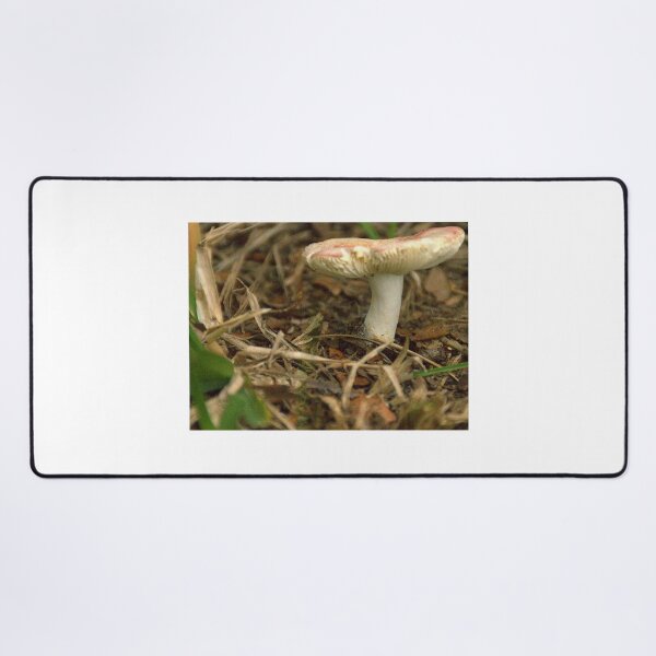 Item preview, Front Yard Fungi  designed and sold by MercerImages.