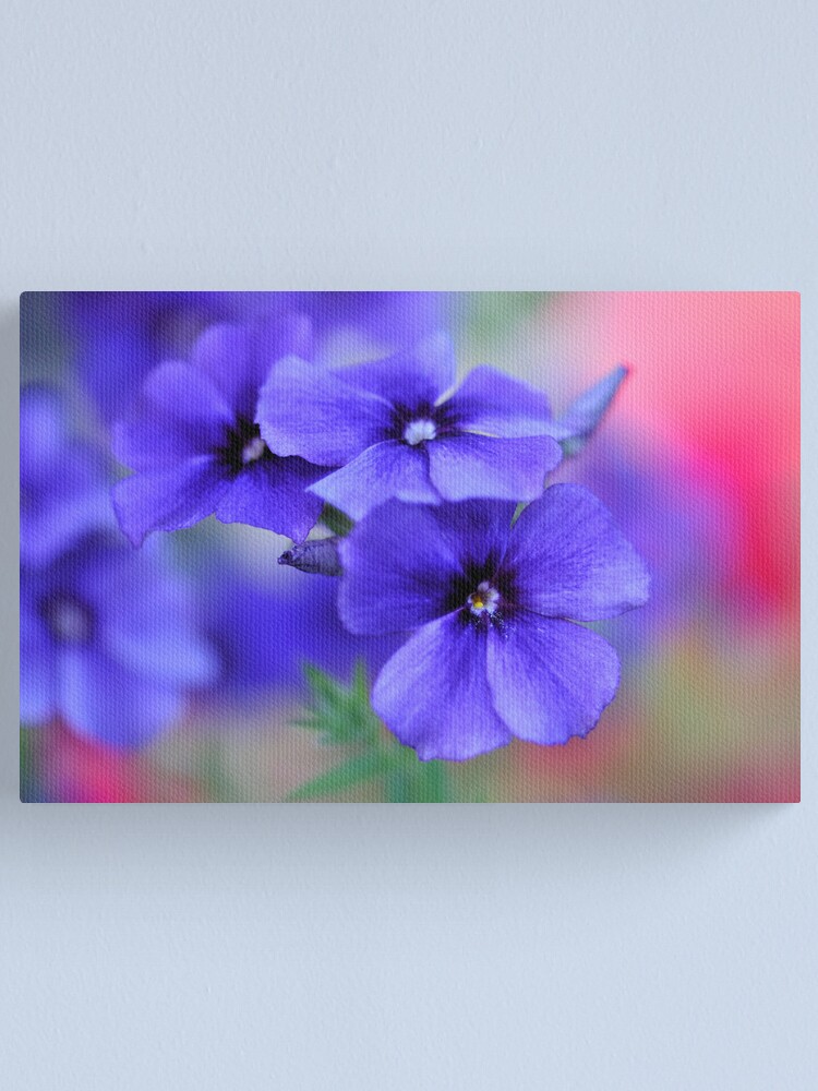 Alternate view of My Blue Heaven Canvas Print
