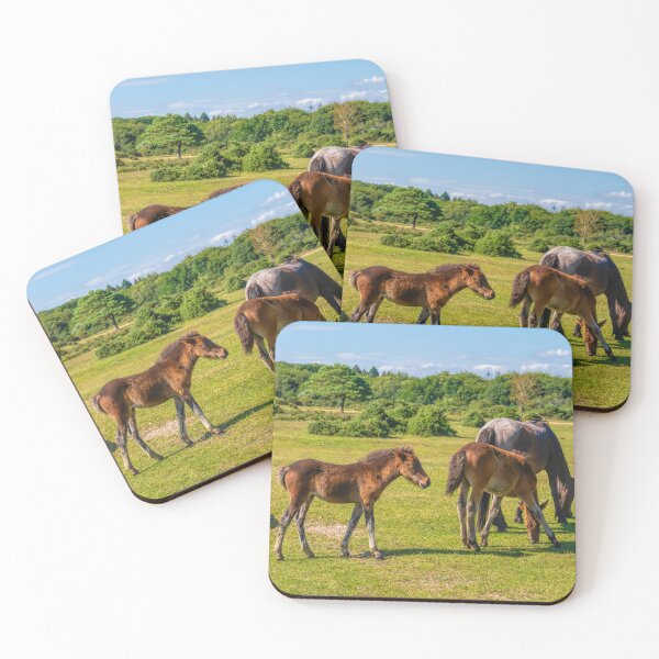 Item preview, Foal Wild Pony and Group of Ponies the New Forest designed and sold by acceleratorhams.
