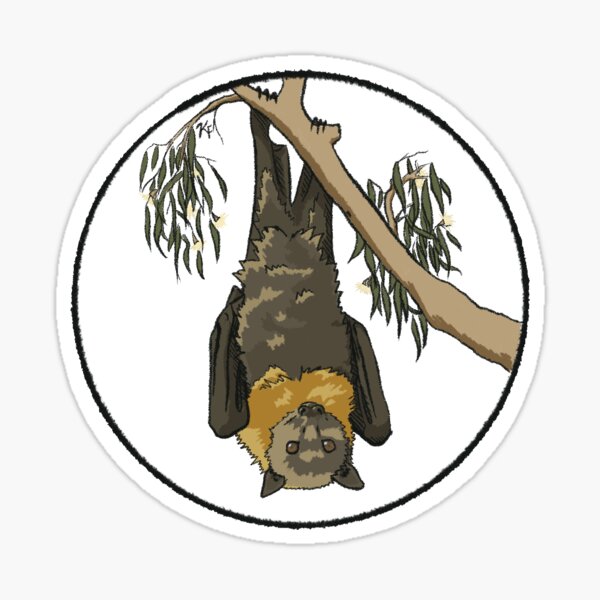 Item preview, Flying-fox foraging; Grey-headed flying fox #4 designed and sold by KarlyFMixedArts.