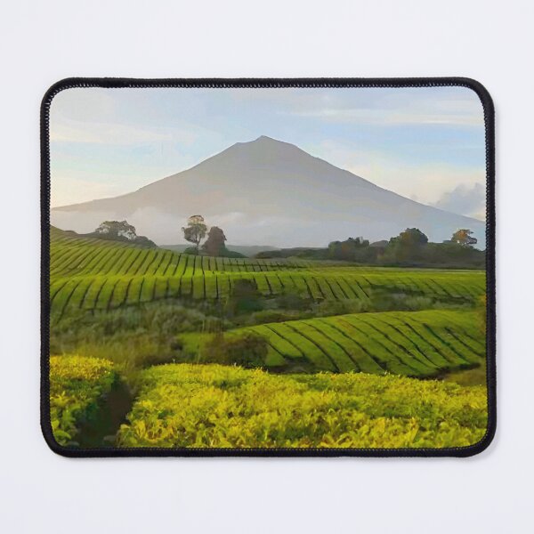 Item preview, Tea plantation designed and sold by Ameliatra Design.