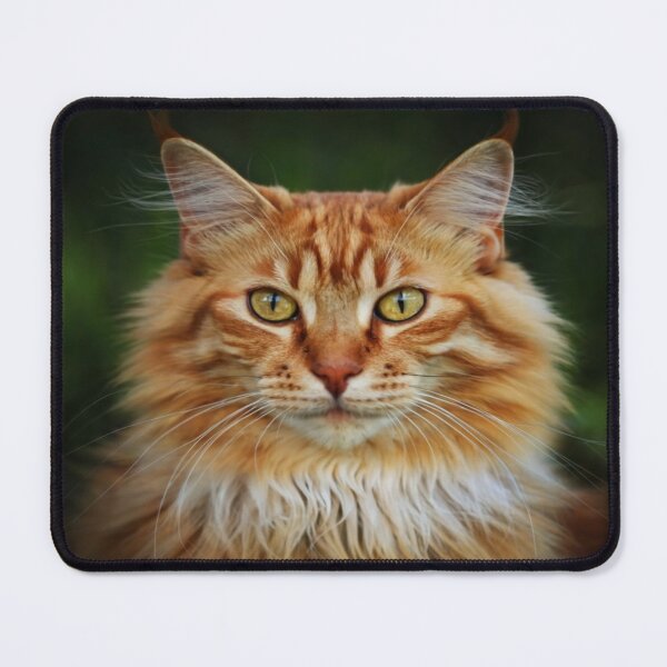 Item preview, Big fluffy orange cat designed and sold by SNNDesignersLLC.