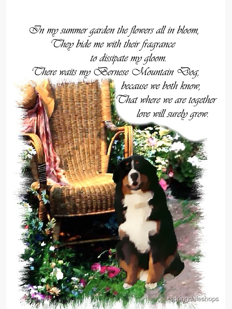 Gifts for bernese mountain hotsell dog lovers