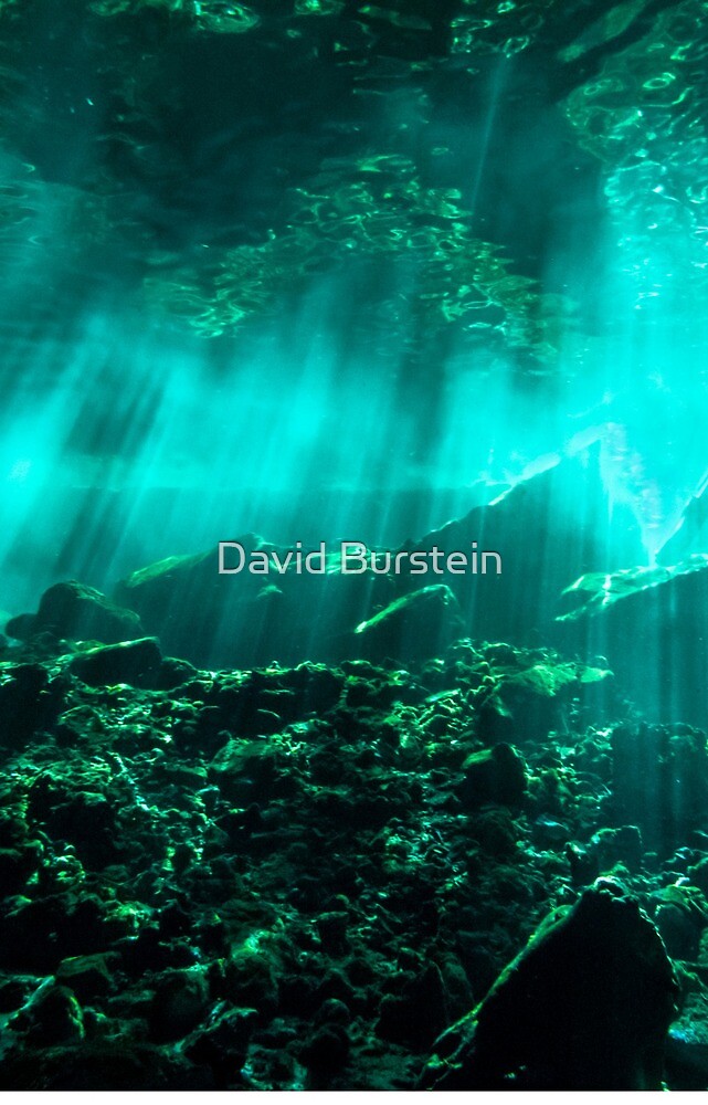 Artwork view, Gran Cenote designed and sold by David Burstein