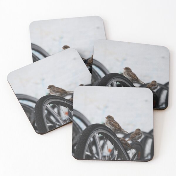 Item preview, Birds and bicycle wheels designed and sold by OneMoreBike.