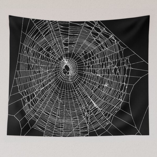 Item preview, Spiderweb from Heaven designed and sold by zeljkica.