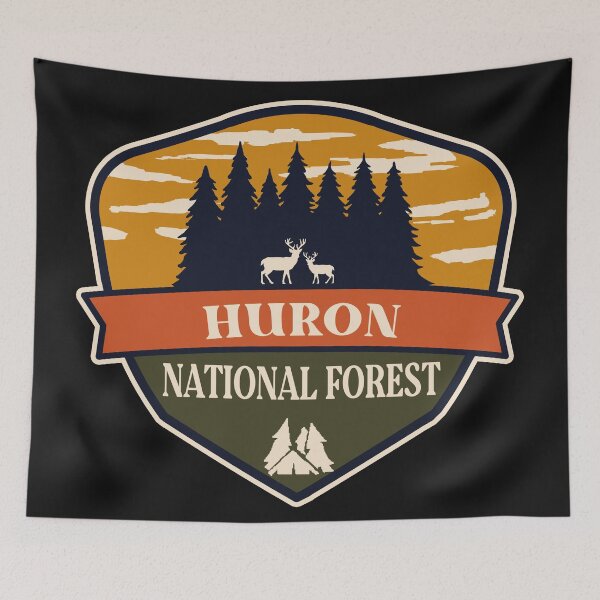 Item preview, Huron National Forest designed and sold by graphic-map.