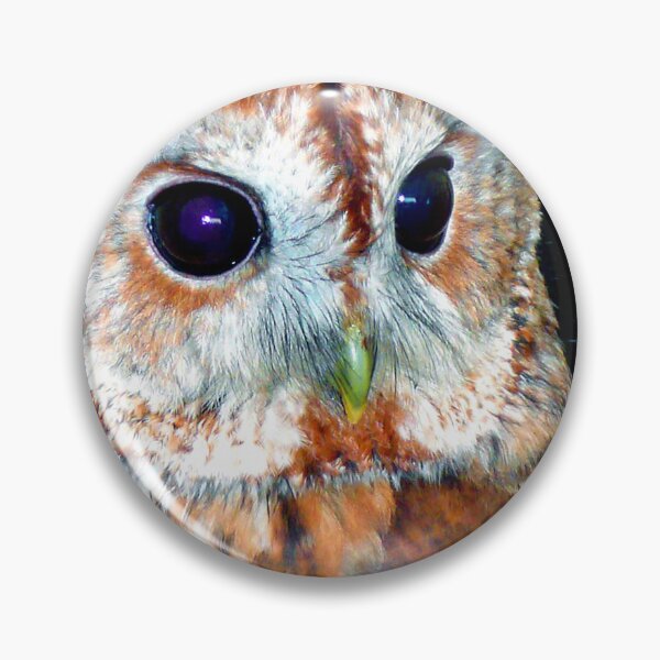 Item preview, Barn Owl Tyto Alba Bird Of Prey designed and sold by AndyEvansPhotos.
