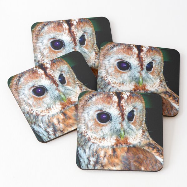 Item preview, Barn Owl Tyto Alba Bird Of Prey designed and sold by AndyEvansPhotos.