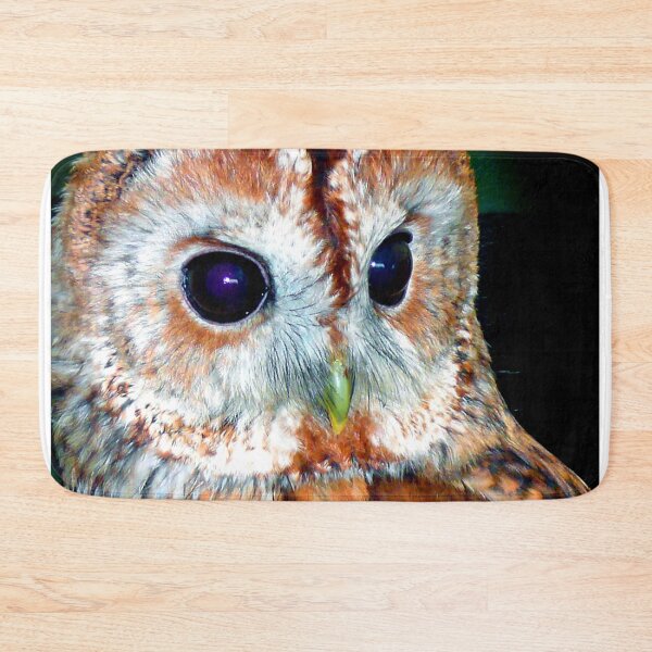 Item preview, Barn Owl Tyto Alba Bird Of Prey designed and sold by AndyEvansPhotos.