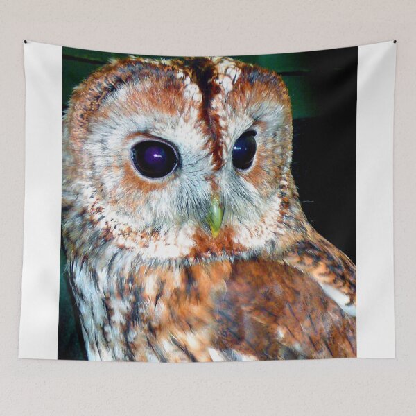 Item preview, Barn Owl Tyto Alba Bird Of Prey designed and sold by AndyEvansPhotos.