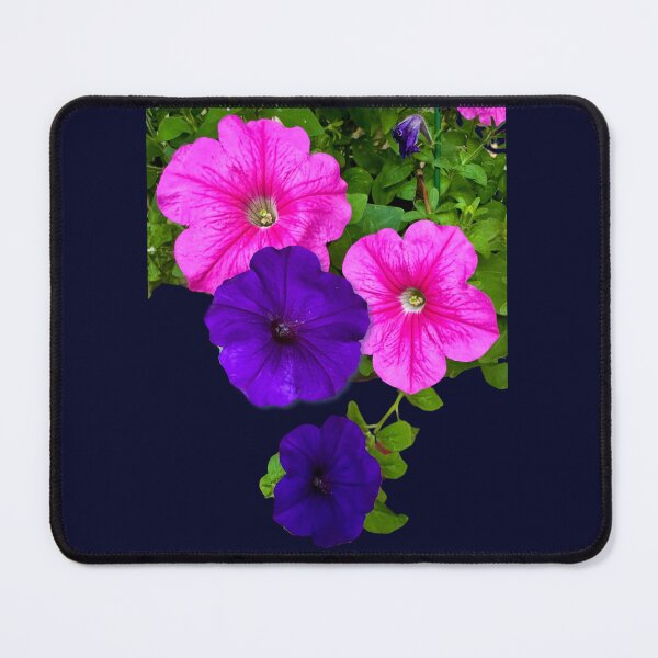 Item preview, Hotunia Cornered designed and sold by South Bay Storyteller .