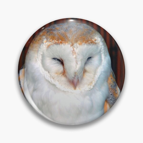 Artikelvorschau, Schleiereule Tyto Alba Greifvogel entworfen und verkauft von AndyEvansPhotos.