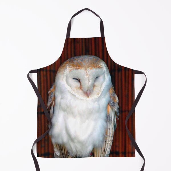 Item preview, Barn Owl Tyto Alba Bird Of Prey designed and sold by AndyEvansPhotos.