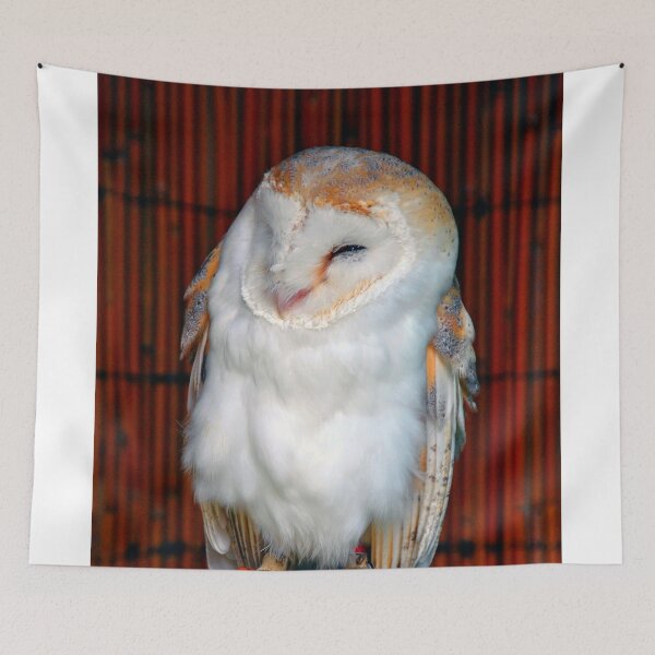 Item preview, Barn Owl Tyto Alba Bird Of Prey designed and sold by AndyEvansPhotos.