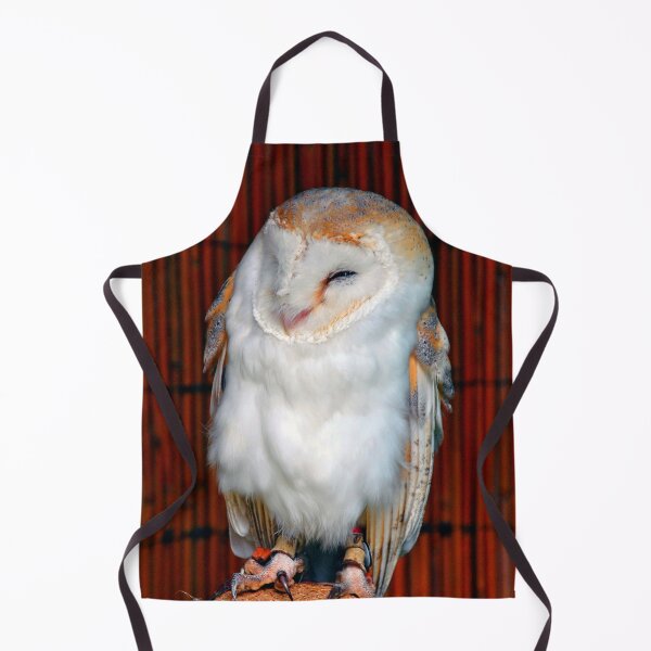 Item preview, Barn Owl Tyto Alba Bird Of Prey designed and sold by AndyEvansPhotos.